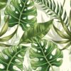 Papel de Parede Adesivo Folhagem 300x52cm Lavável 4 10240458317 folhagem cod 37747
