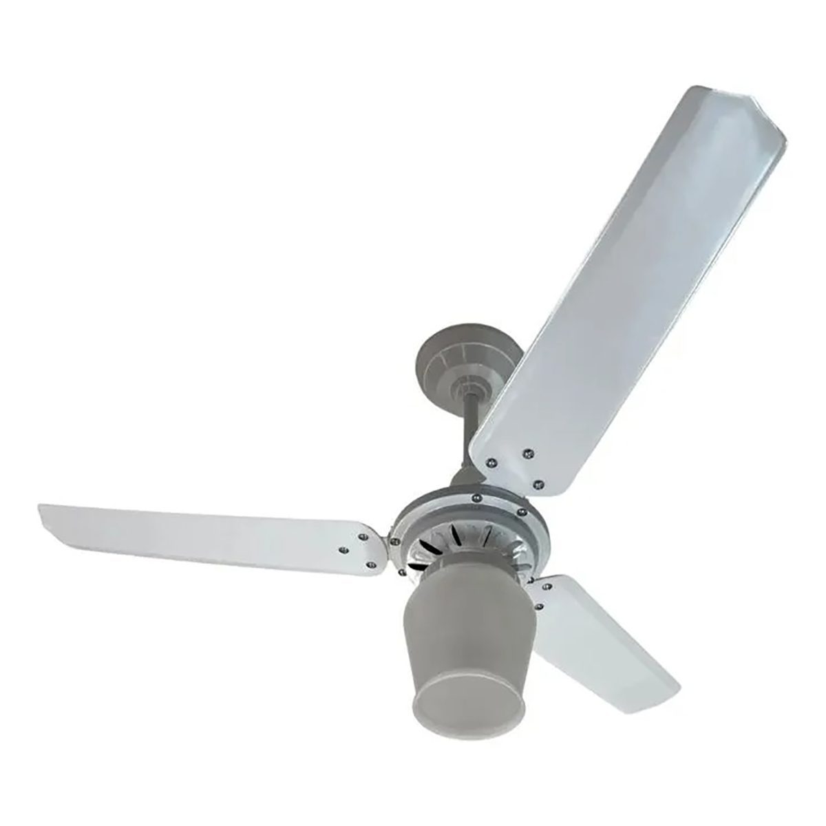 15553572767 15552362198 lyon branco