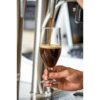 Taça Dunkel 280ml Original em Vidro Temperado de Alta Resistência 5 15553802832 15553736443 15197826818 br 11134201 23020 rwaxowew42mv4a 1