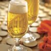 Taça Dunkel 280ml Original em Vidro Temperado de Alta Resistência 6 15553802846 15553736457 15197826821 br 11134201 23020 9ktotdfw52mvdb 1