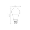 Lâmpada LED 9W Bulbo E27 Bivolt Tramontina Branca Fria 810lm 10 15564958134 15345850441 47b7dd1ea62339704a9cc1cc3b942ebe tn
