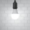 Lâmpada LED 9W Bulbo E27 Bivolt Tramontina Branca Fria 810lm 11 15564958142 15345850462 965876a34fda659db679c3d6b5e7dac4 tn