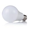 15565660183 15565520481 15312088102 lampada bolbo4
